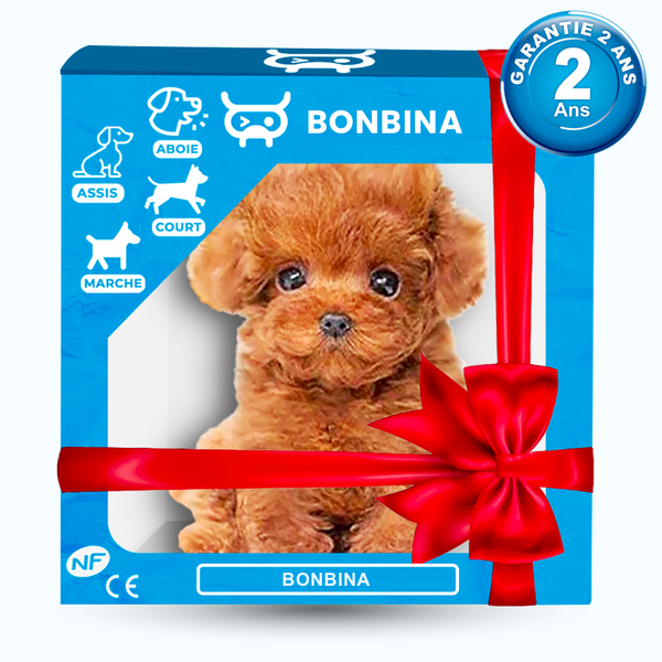Chiot Robot Interactif