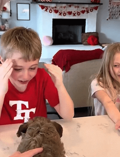 Chiot Robot Interactif