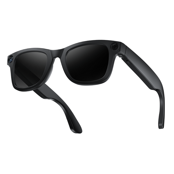 SmartView Pro lunettes IA